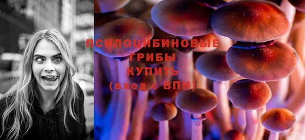 прущая мука Бугульма
