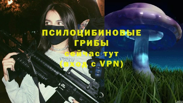 прущая мука Бугульма
