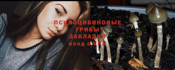 кокс Богданович