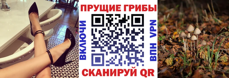 Псилоцибиновые грибы мицелий  Котельниково 